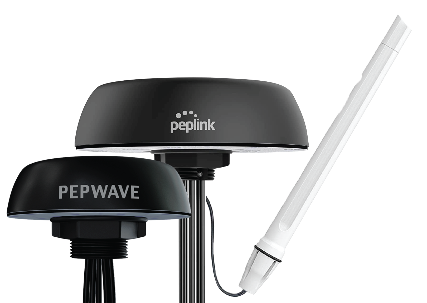 Netmark Distribution Homepage