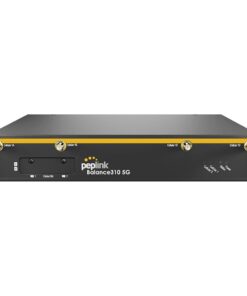 Peplink Balance 310 5G (1)