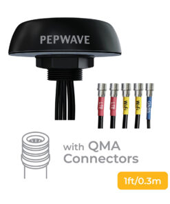 Peplink Puma-221 (1)