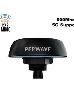 Peplink Puma-221 (2)