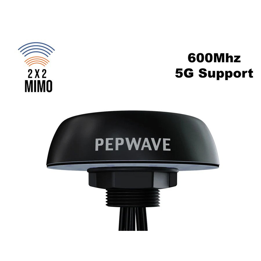 Peplink Puma-221 (2) Peplink Puma-221 (2)