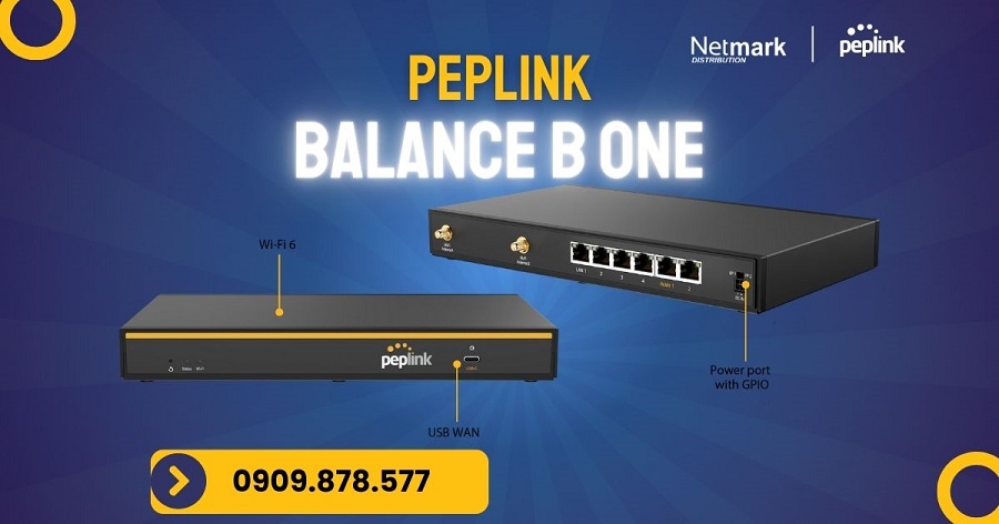 Peplink B One - Netmark Distribution